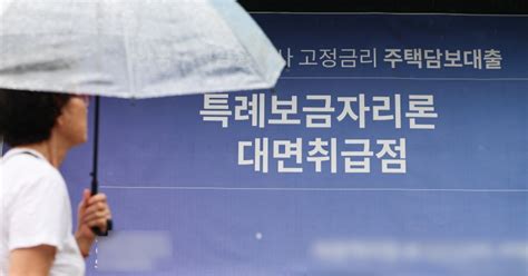 “가계부채 증가 주범” 비판 특례보금자리론 지난해 43조원 공급