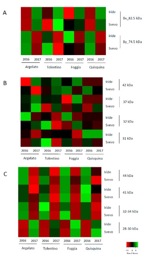 Heat Map Representing The Relative Abundance Evaluated By Densitometric