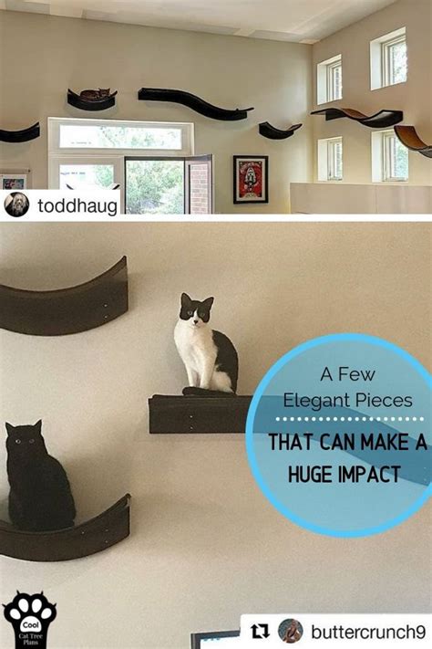 The Best Cat Wall Shelves Of 2024 And Why You Need Them Cool Cat