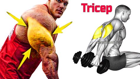 5 Tricep Exercises For Horseshoe Triceps Youtube