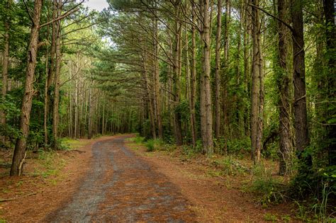 Hiking Trails in the Delaware Seashore Region | delawarestateparks.blog