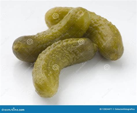 Gherkin Stock Image Image Of Organic Vegetable Closeup 12824471