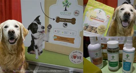 pawTree petPro Home Based Business for Dog Lovers - Golden Woofs