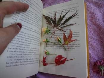 Niftynnifer S Crochet Crafts Book Dried Flowers Free Craft Idea By