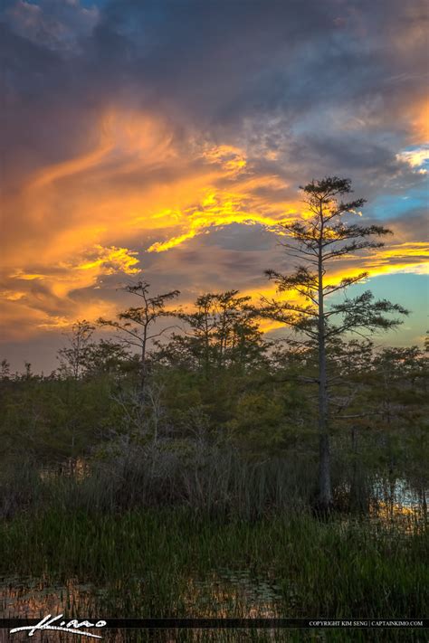 Wetlands Sunset Florida Landscape Marshy Area Hdr Photography By