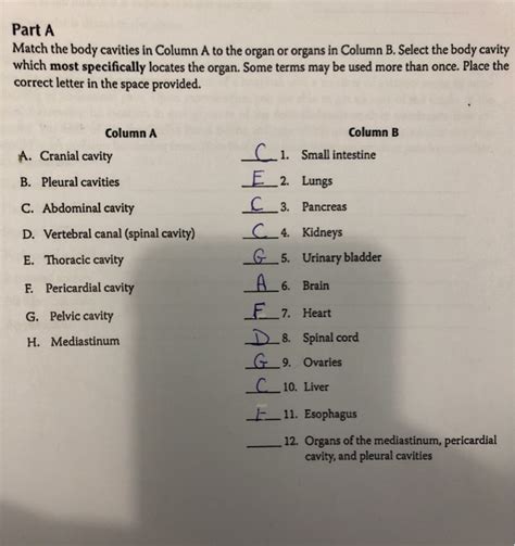 Solved Part A Match The Body Cavities In Column A To The Chegg