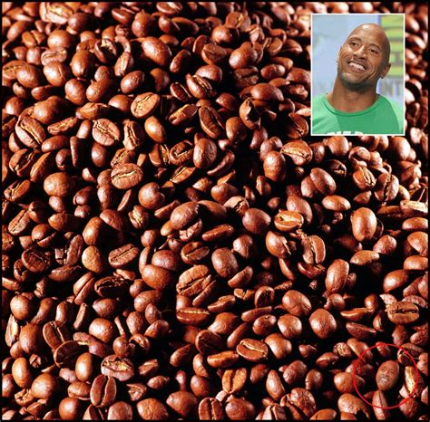 Optical Illusions Can You Spot The Famous Faces In These Coffee Bean