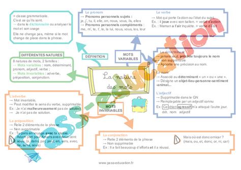 Carte Mentale Nature Et Fonction Me Pdf Imprimer