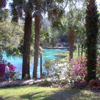 Camping Rainbow Springs State Park in West Florida - 50 Campfires