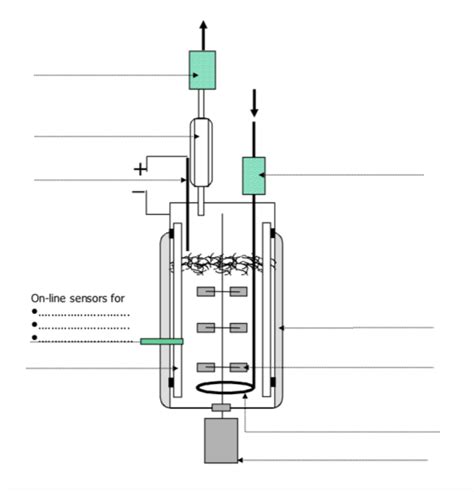 Schaubild Bioreaktor Beschriftung Quizlet