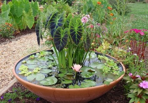 Best Creative Garden Container Ideas And Designs For