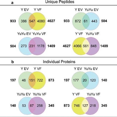 Venn Diagrams And Cluster Analysis Of The Peptides And Proteins