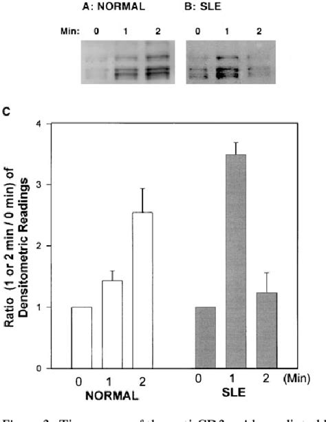 Figure From Altered Pattern Of Tcr Cd Mediated Protein Tyrosyl