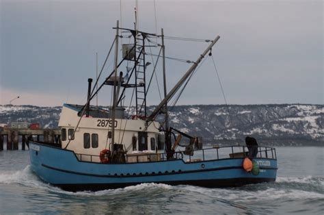 Resources — Alaska Fishermens Network