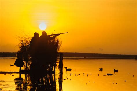 Late Season Duck Hunting Tips From an Expert