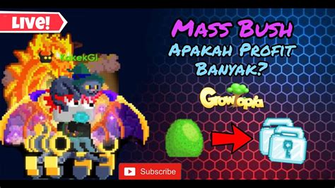 Apakah Ngemass Profit Itu Nyata Live Growtopia Youtube