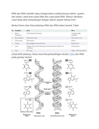 Perbedaan Antara Dna Dengan Rna PDF