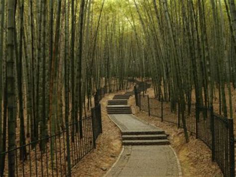 Hangzhou Botanical Garden, Hangzhou