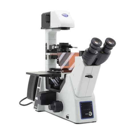 Optika Microscopio Invertito Im 5fld Fl Trino Invers 10x24mm Al Dl Led 5w 8w W O Objectives