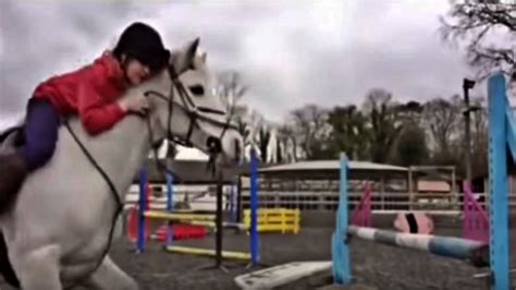 Compilation Of Horse Fails Presents The Difficult Journey Of Successful ...