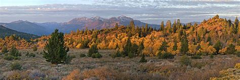 Monitor Pass Sunrise Photograph By David Laurence Sharp Fine Art America