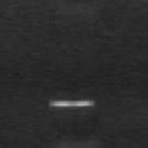 Agarose Gel Electrophoresis Demonstrating The Existence Of Both B