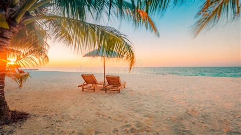 Zomervakantie In Warme Landen Op De Oceaan En Palmvertakking Tegen De