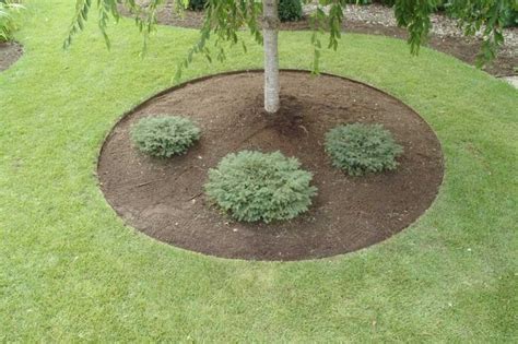 Landscape Edging Ideas Around Trees Landscaping Gardening Ideas