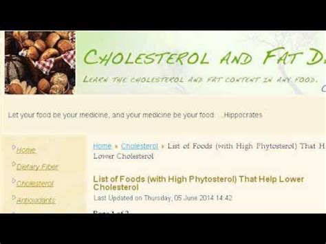 Foods High In Phytosterols Youtube