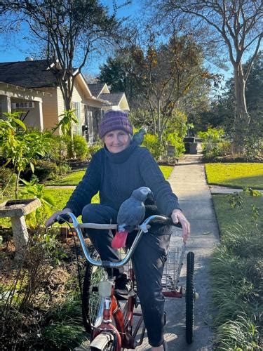 Ginger Ford Plants Pollinator Gardens Along Br Street Entertainment