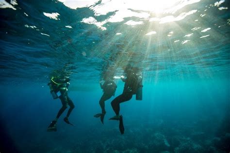 PADI Open Water Course At Playa Flamingo