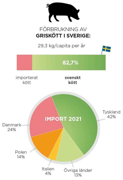 Varför Ska Man Välja Svenskt Griskött Svenskt Kött