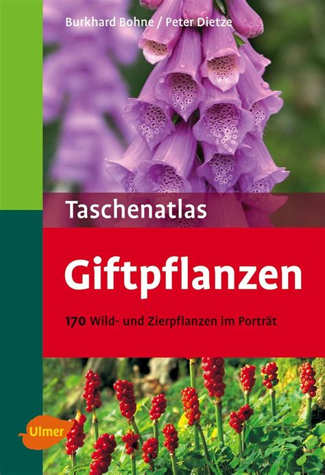 Giftpflanzen 170 Wild und Zierpflanzen im Porträt Bohne Burkhard