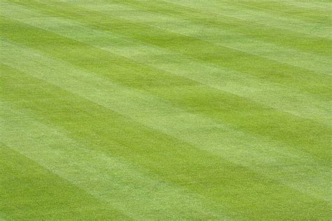 Baseball Field Grass Background