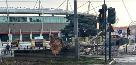 Tempesta Di Vento Danni Nel Torinese Le Raffiche A Oltre 200 Km H