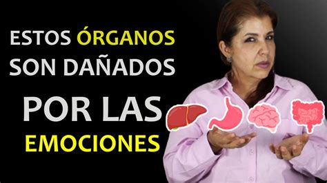 Estos Rganos Y Partes Del Cuerpo Son Da Ados Gravemente Por El Enojo