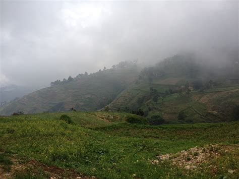 Gambar Pemandangan Hutan Gunung Awan Kabut Lembah Pegunungan