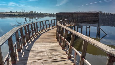 Free Images Landscape Sea Tree Water Nature Forest Path