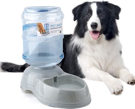 Dispensador De Agua Para Perros Y Gatos Grandes Alimentador Autom Tico