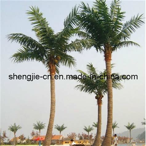 Large Outdoor Artificial Coconut Tree With Coconuts Sj0256