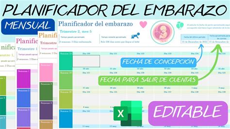 Planificador Mensual Del Embarazoeditable En Excel Gestograma Youtube