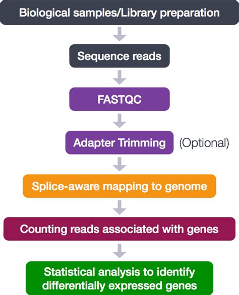 Rna Seq Workflow Introduction To Rna Seq Using High Performance