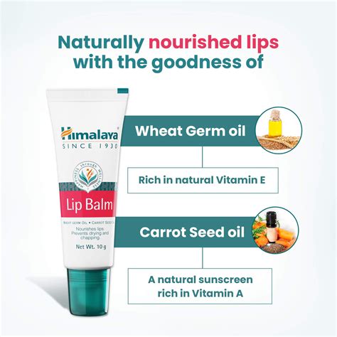 Himalaya Lip Balm 10g - Ingredients, Uses, Reviews – Himalaya Wellness ...