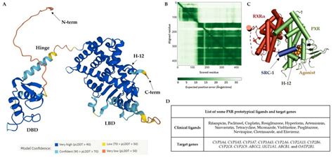 Structure Of The Pxr Receptor A Alphafold Prediction Of The