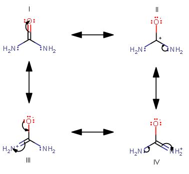 Major And Minor Resonance Structures Organic Chemistry Socratic