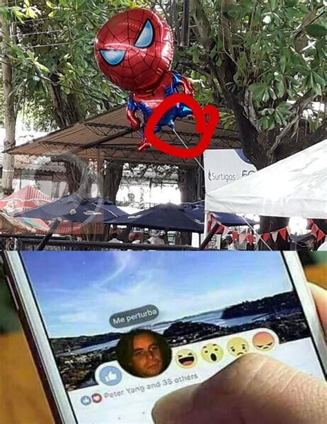 Top Memes De Spider Man En Espa Ol Memedroid