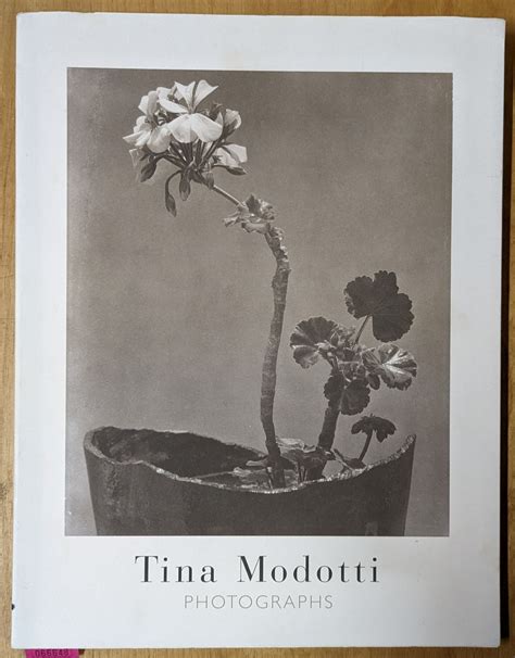 Tina Modotti Photographs By Robert Miller Very Good Softcover 1997