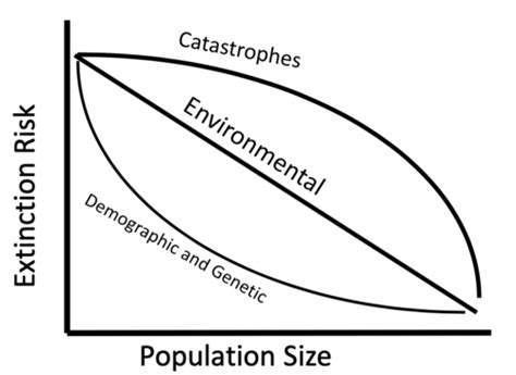 Biology - Intrinsic Factors Flashcards | Quizlet 