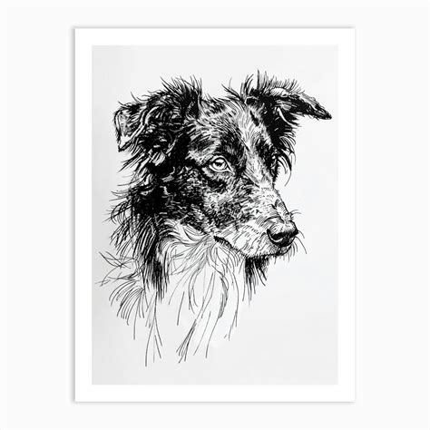 Sheep Dog Line Sketch 2 Art Print By Woof And Whiskers Fy