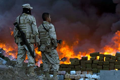 42 Sobering Facts About Drug Cartels